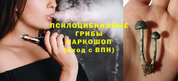 герыч Алексин