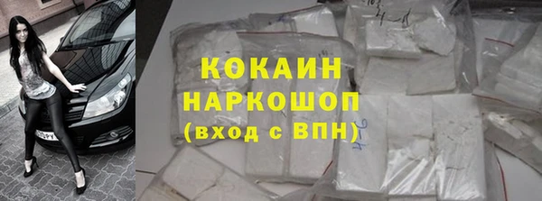 твердый Алзамай
