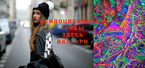 твердый Алзамай